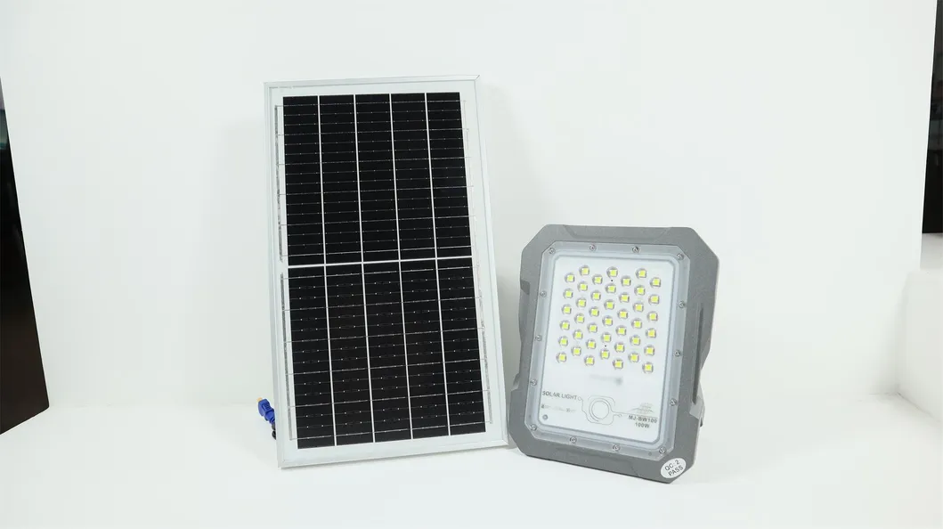 Solar Flood Light 1