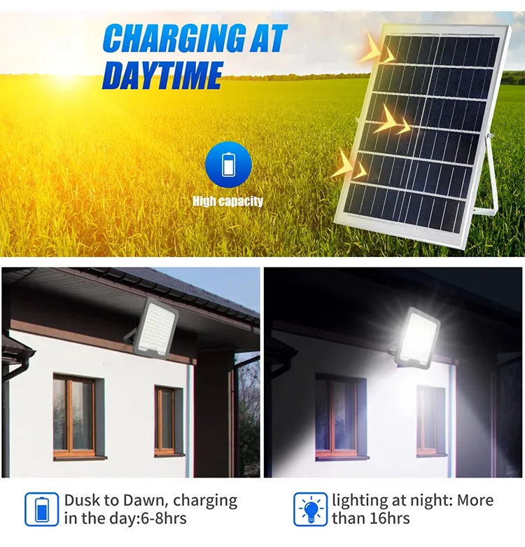Solar LED Flood Light Detail