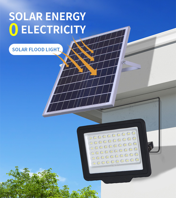 Solar Flood Light