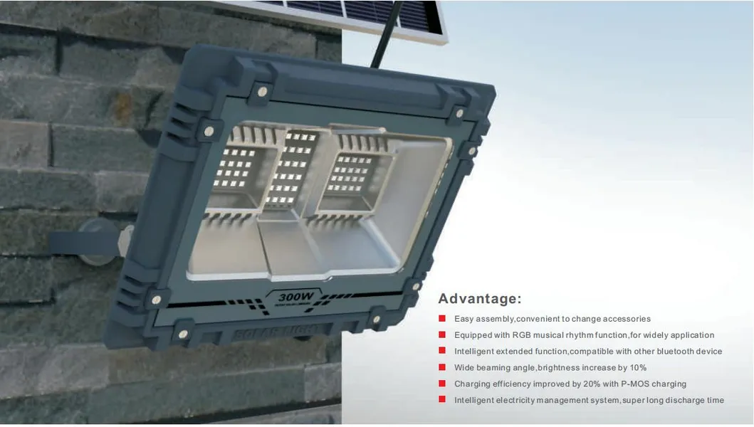 Solar Flood LED Light Overview