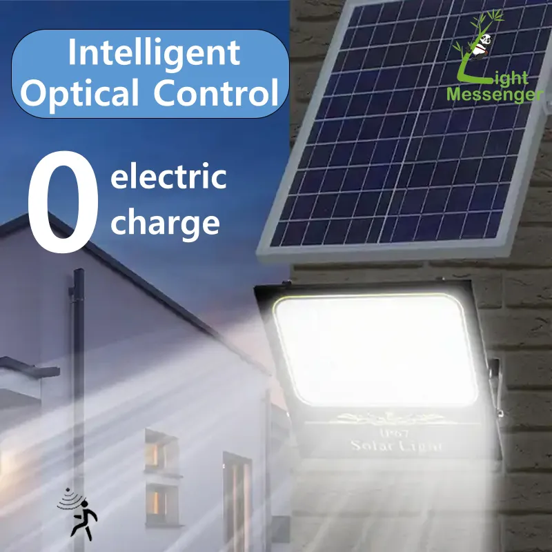 Solar Lamp Detail