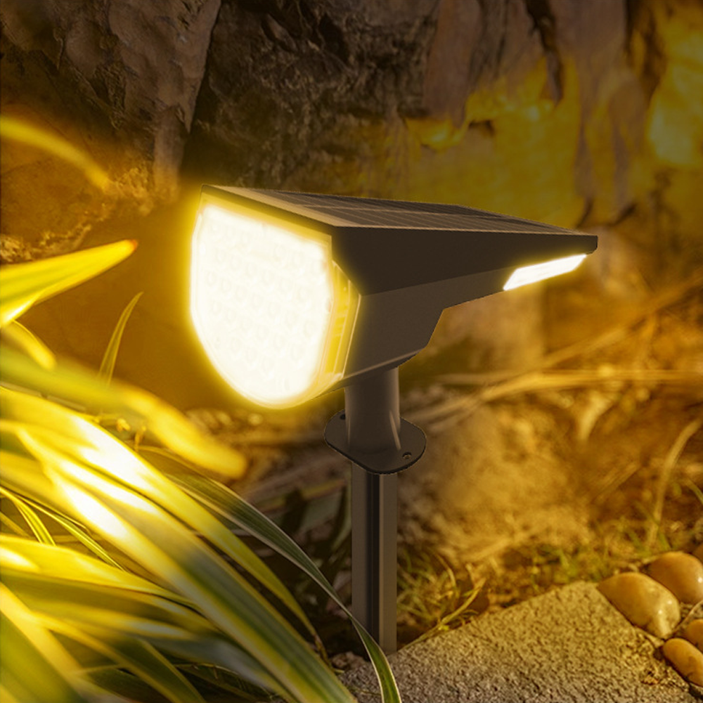 Solar Spotlight View 4