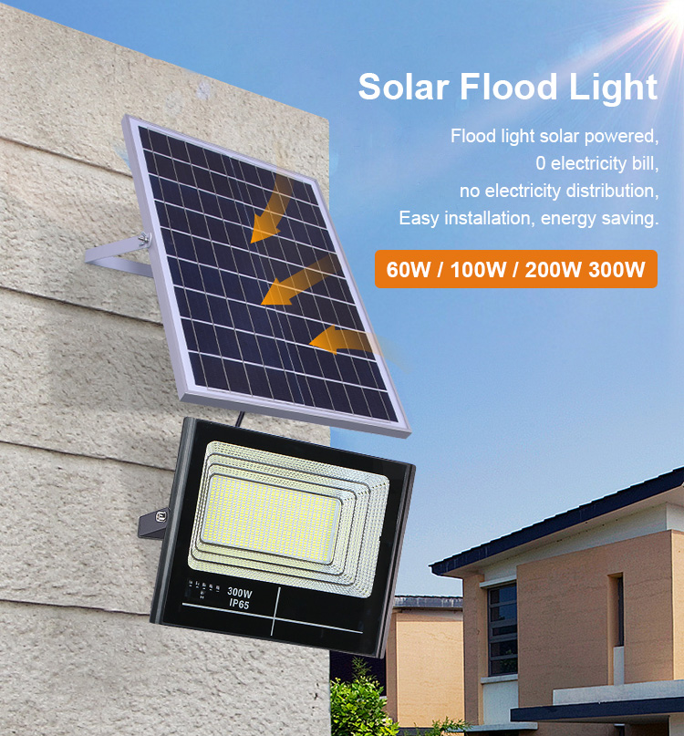 Solar LED Flood Light