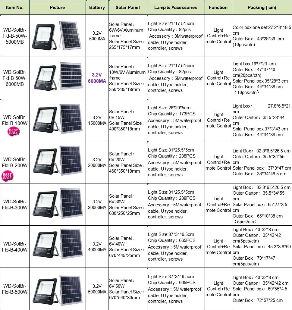 Solar Floodlight 6