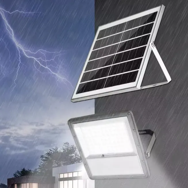 Solar Flood Light Detail