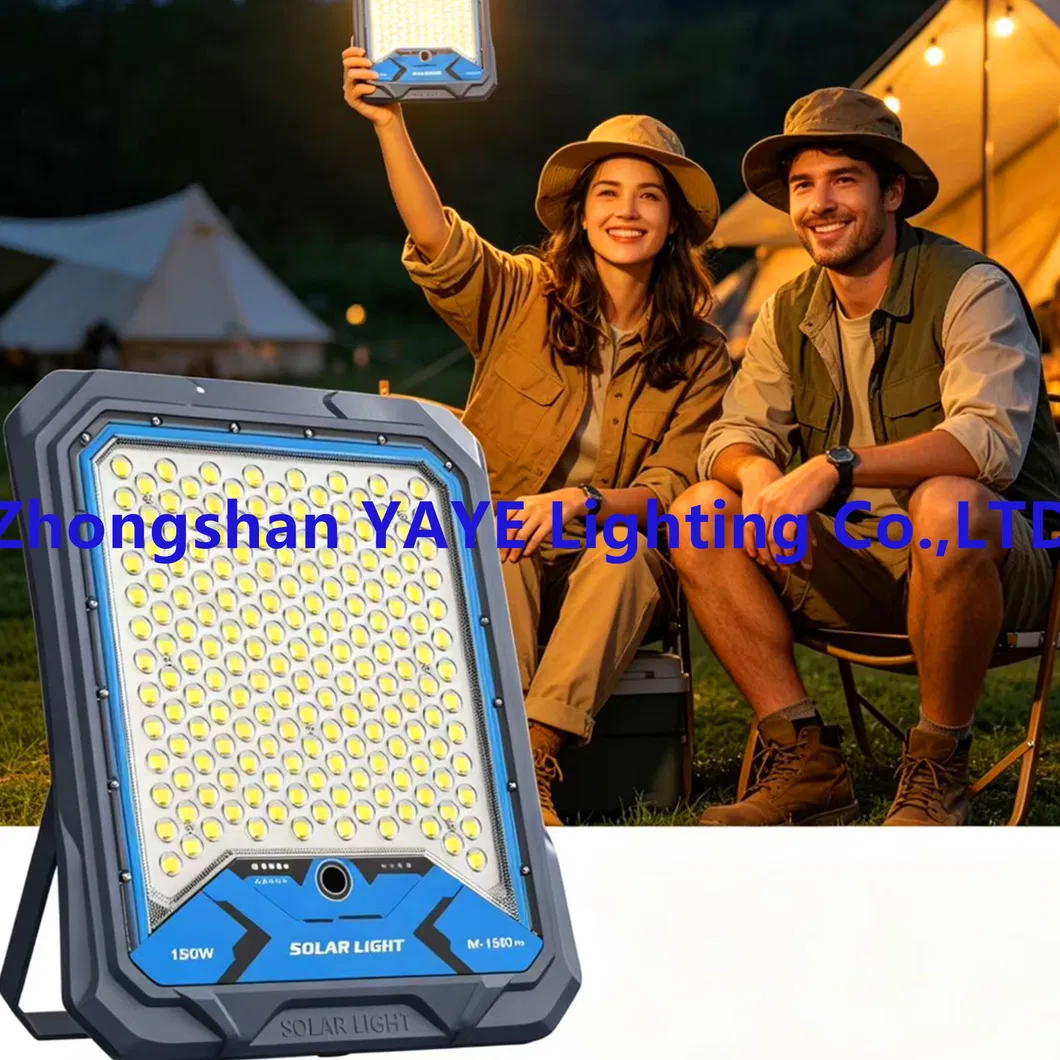 Solar LED Flood Light 14