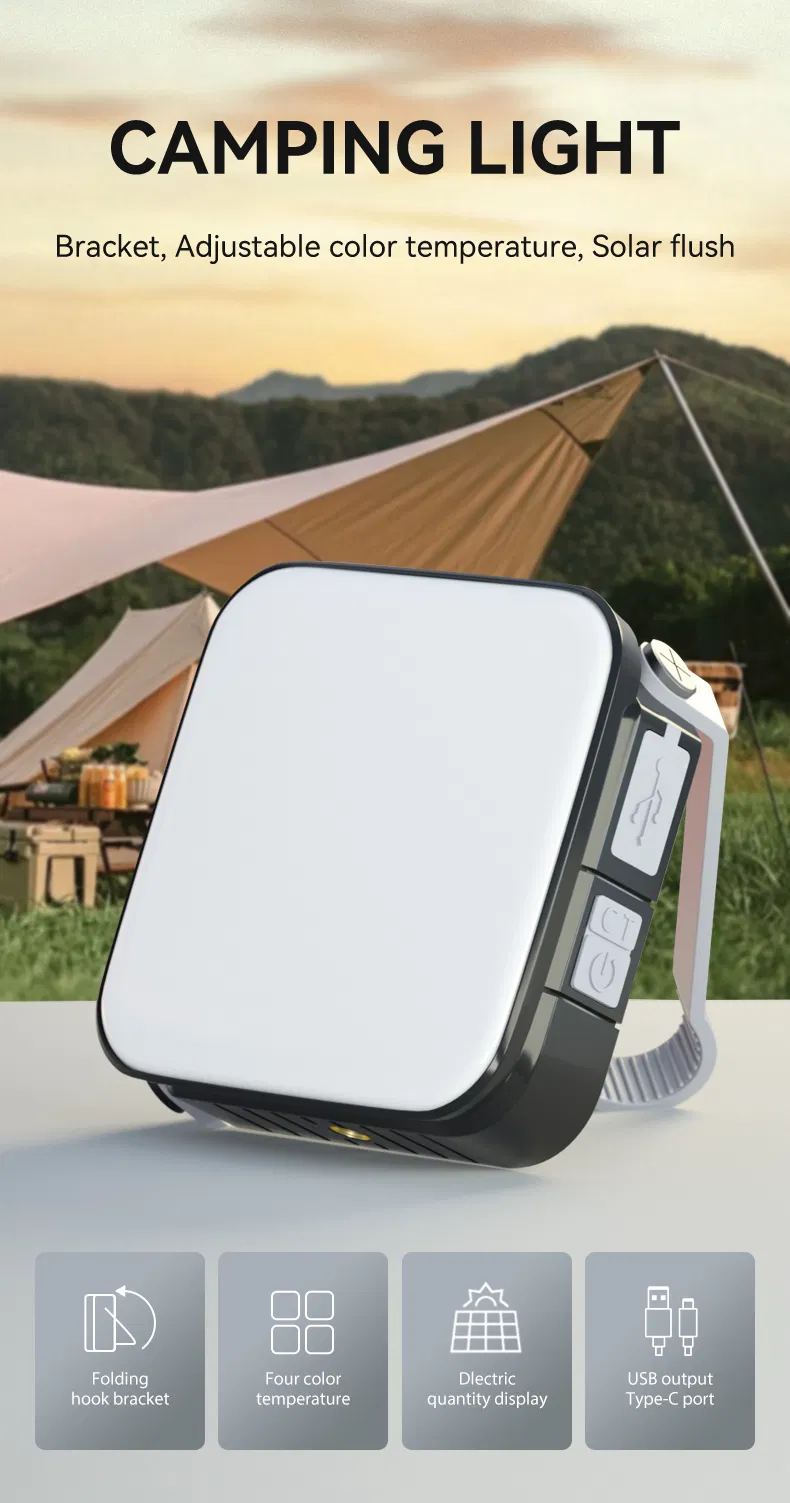 Multi-Functional Outdoor Torch Light
