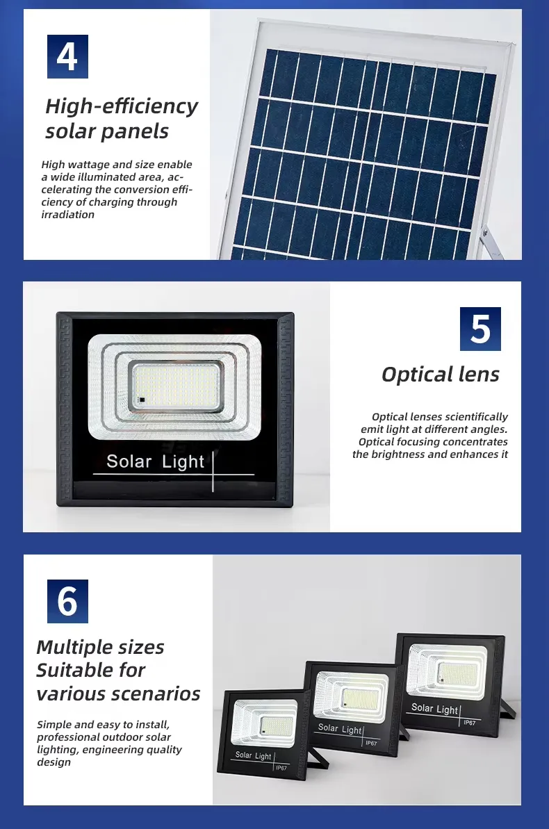 Solar Flood Light Detail