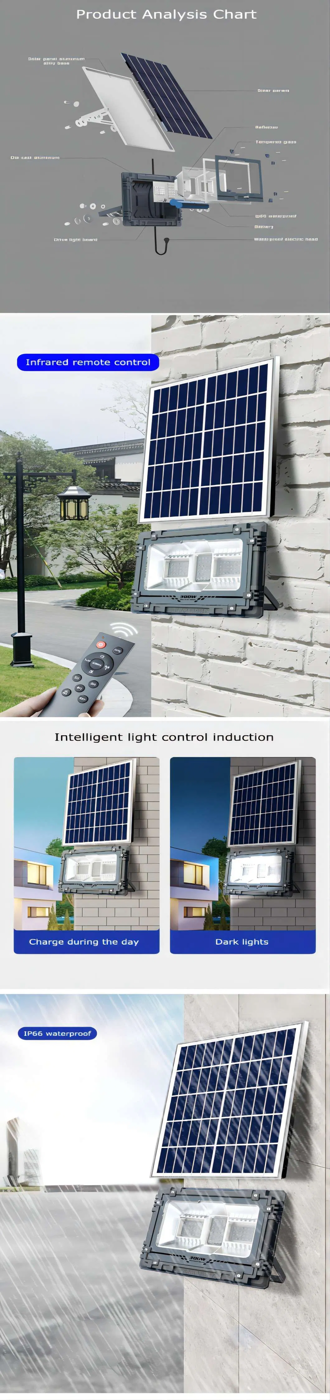 Detailed Features 1
