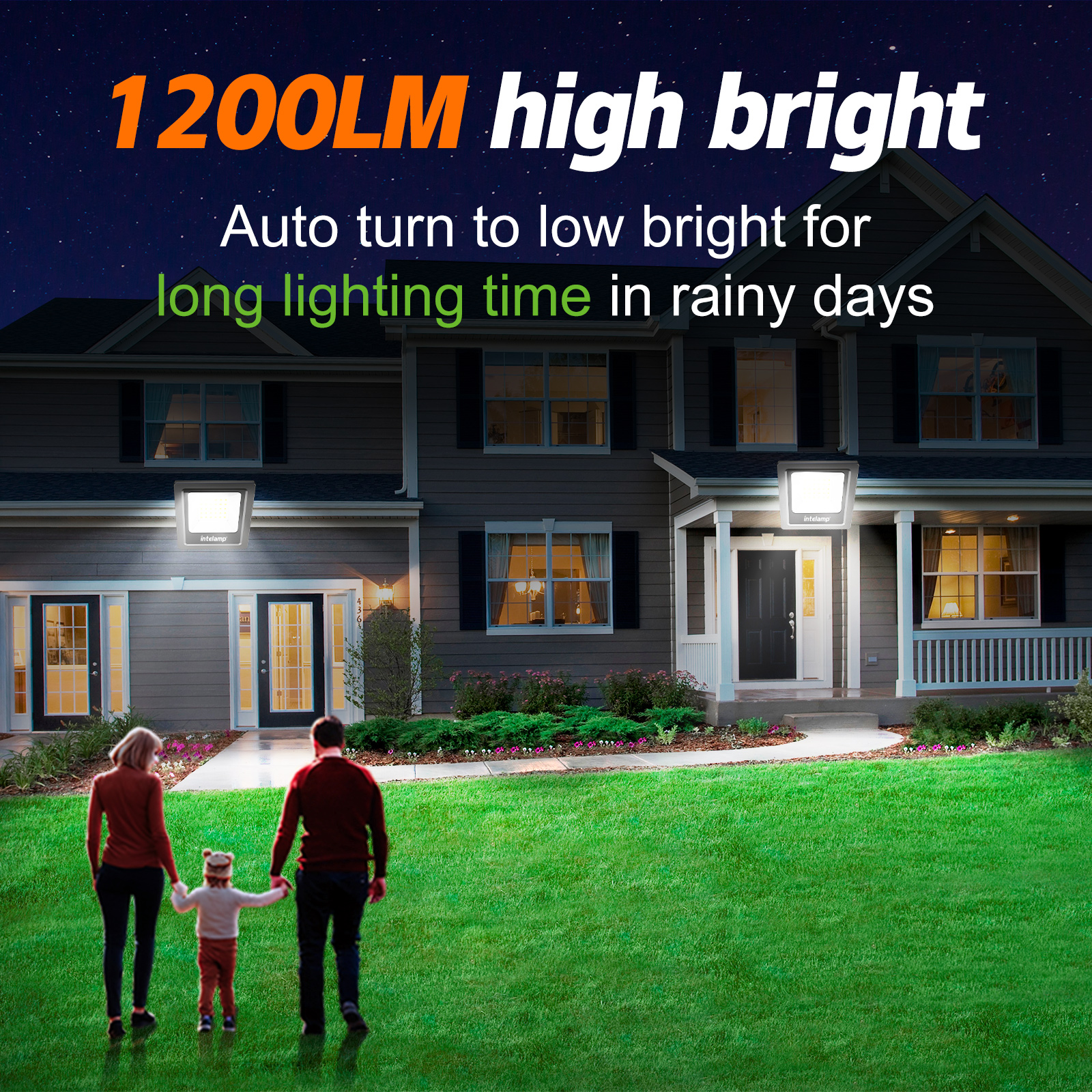 Solar Light Yard