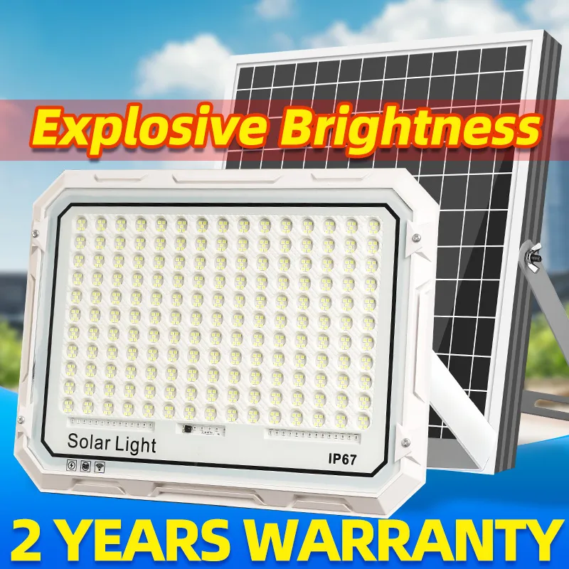 Solar Floodlight Detail
