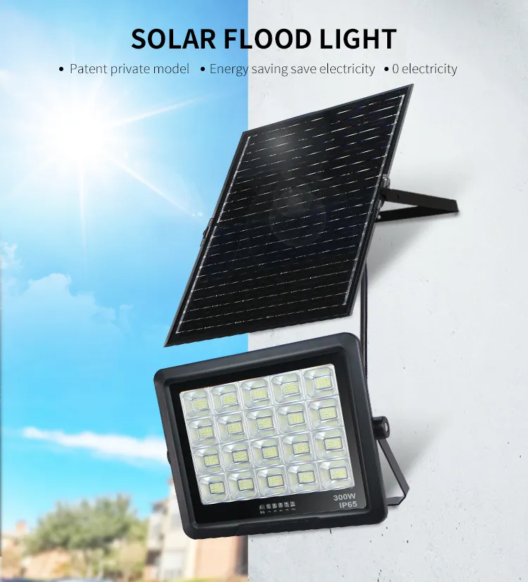 Flood Light Detail 1