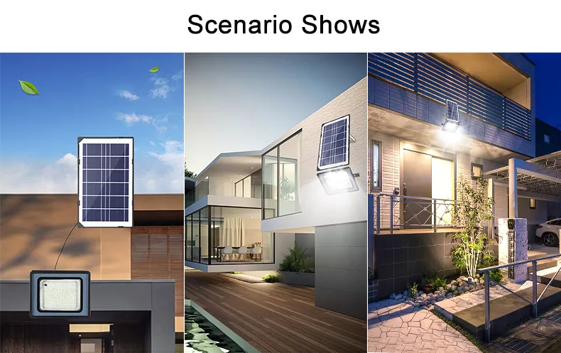 Solar Flood Light 7