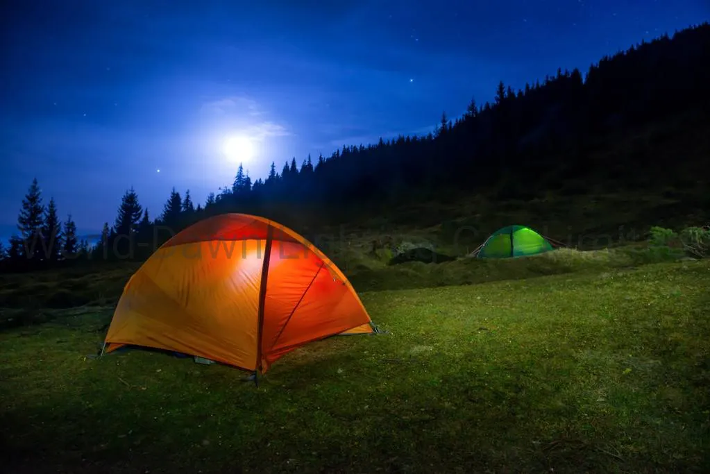 Night View