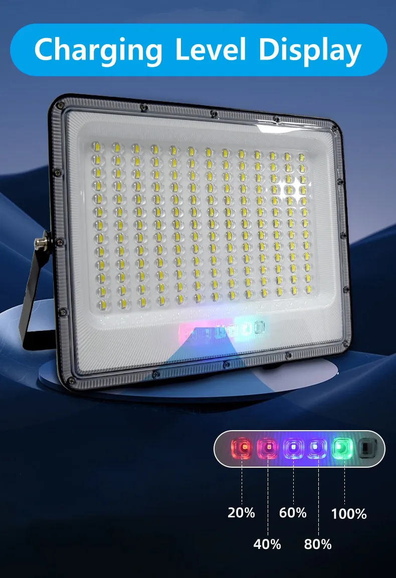 Solar Flood Light Detail