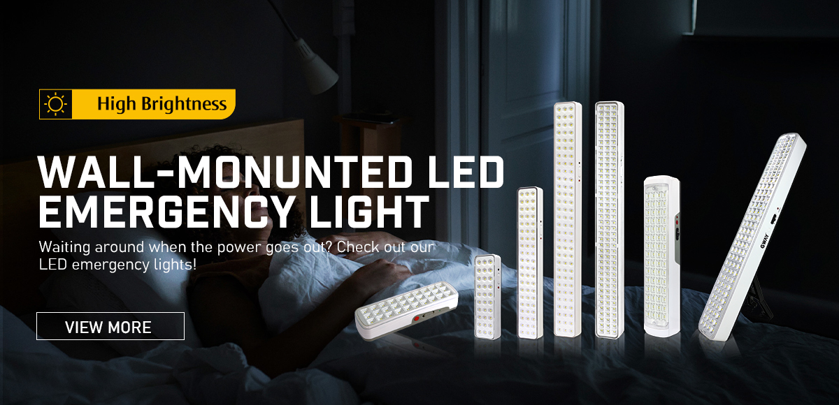 Emergency Light