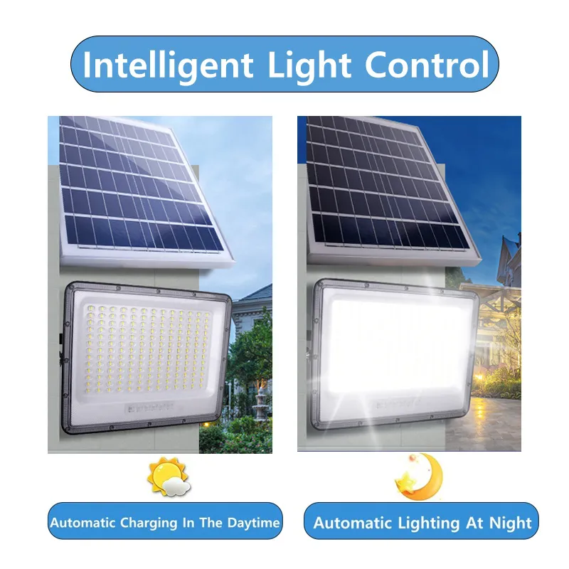 Solar Flood Light Detail