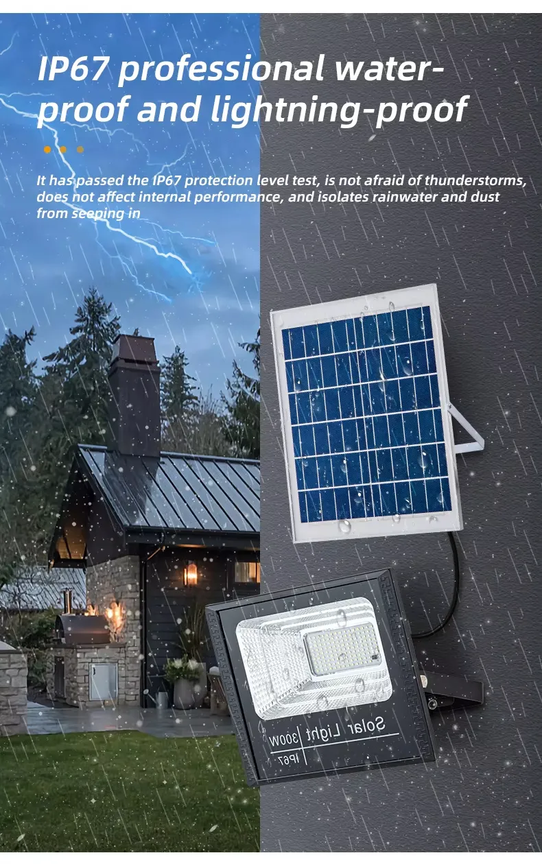 Solar Flood Light Detail