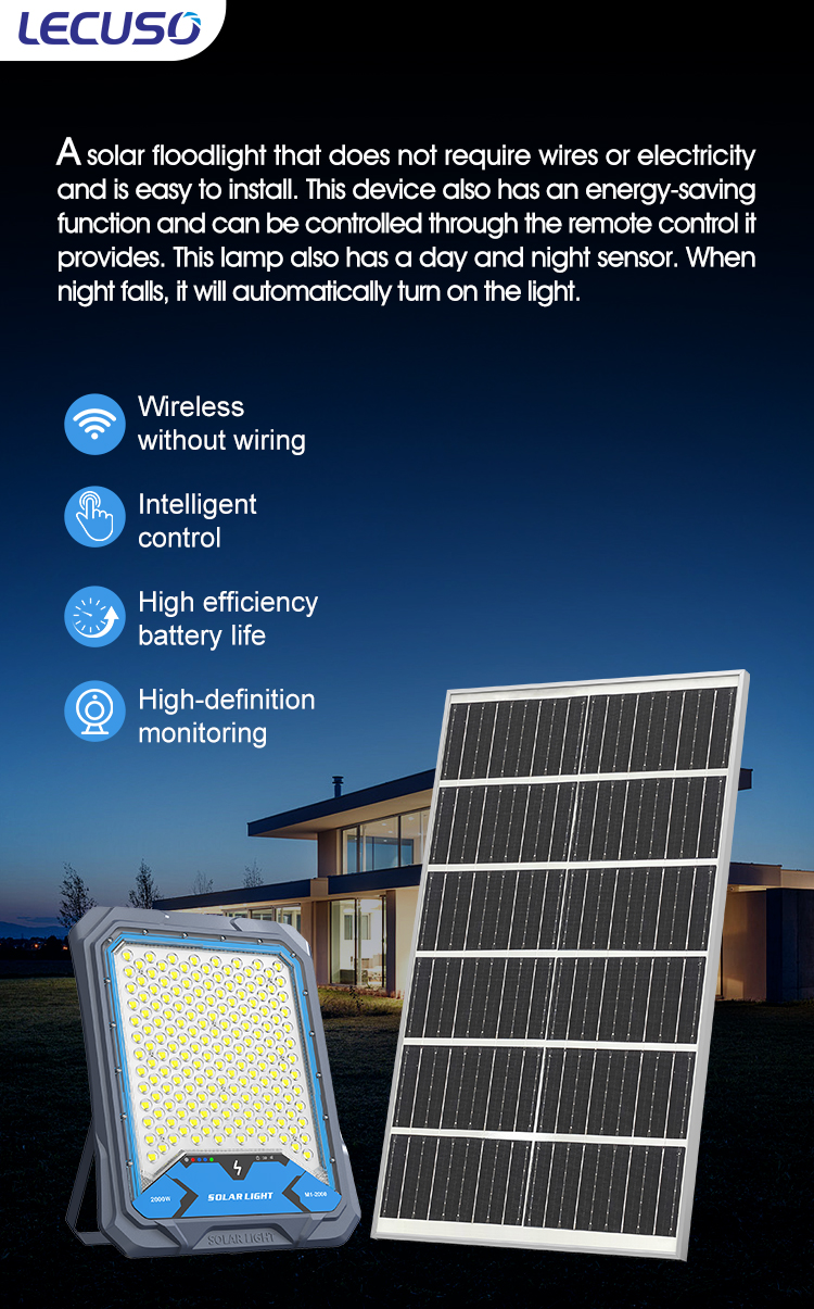 LED Flood Light