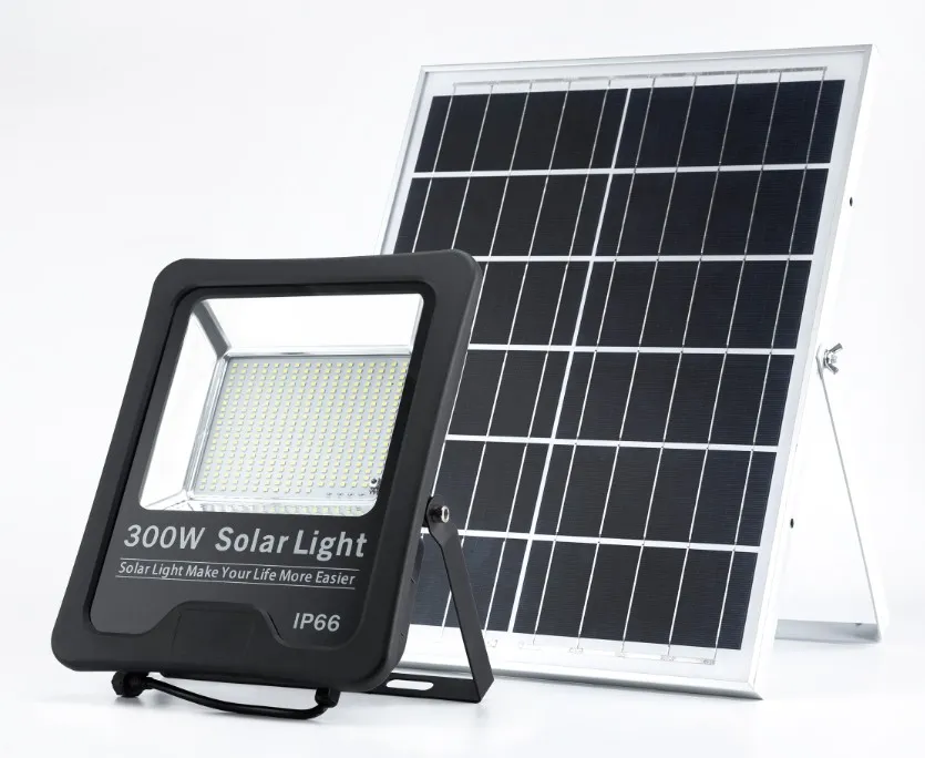 Solar Floodlight 3