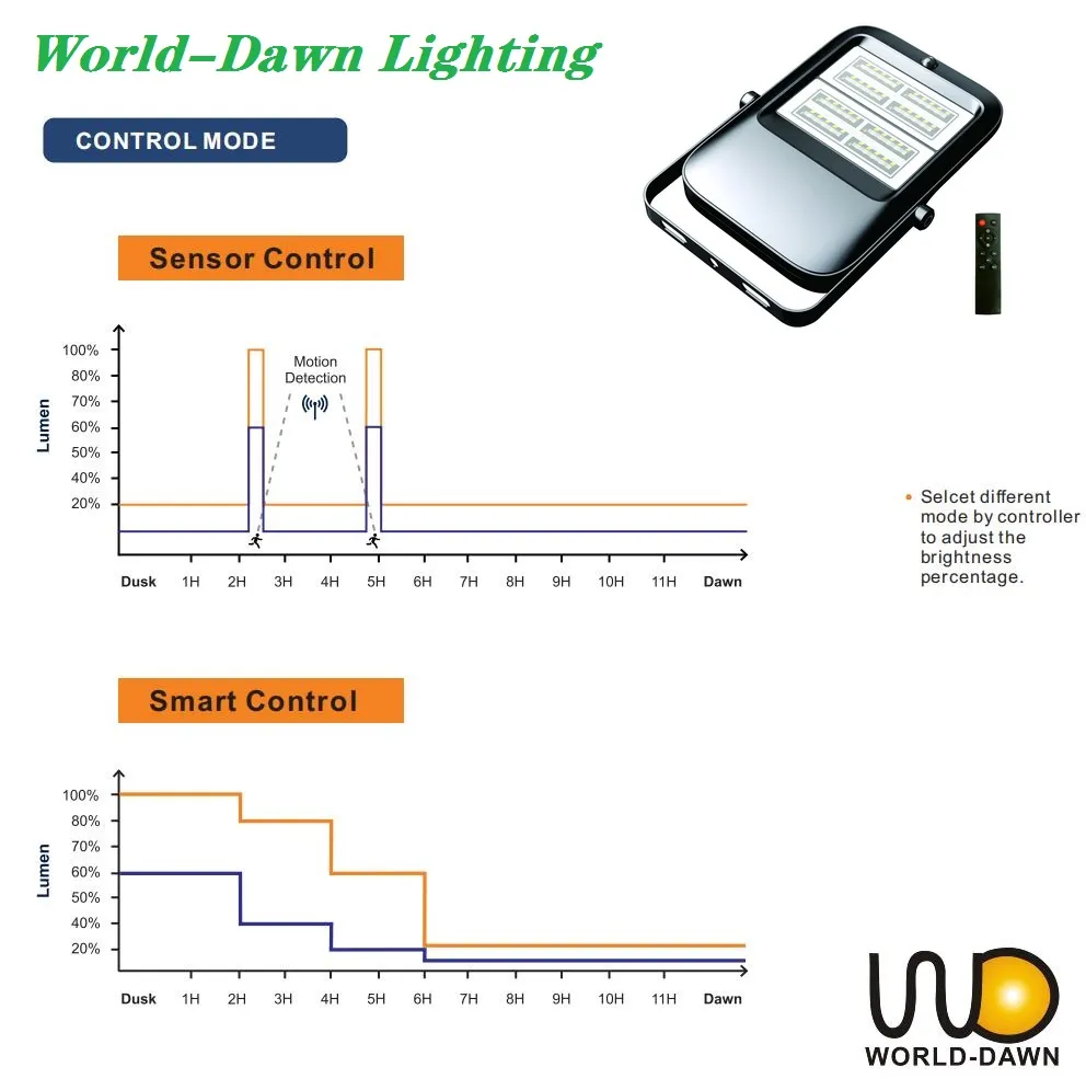 Solar Floodlight 2