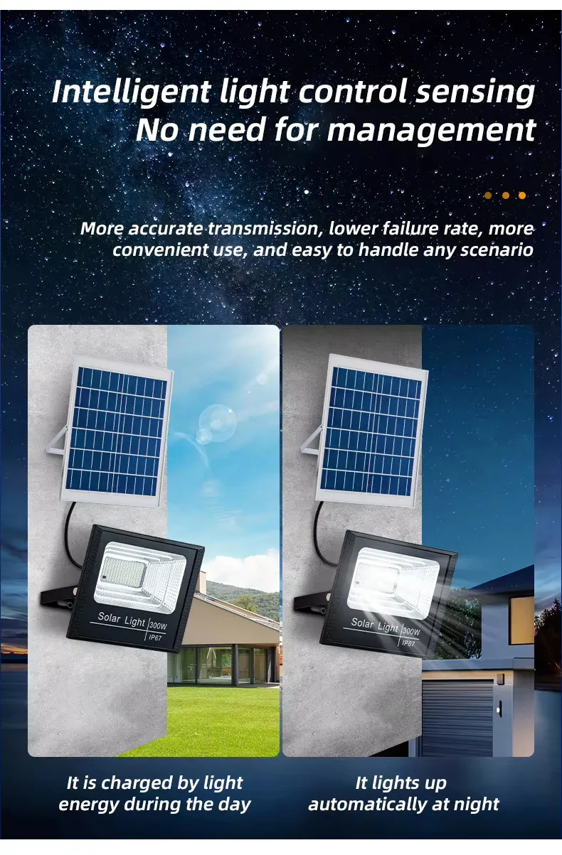 Solar Flood Light Detail