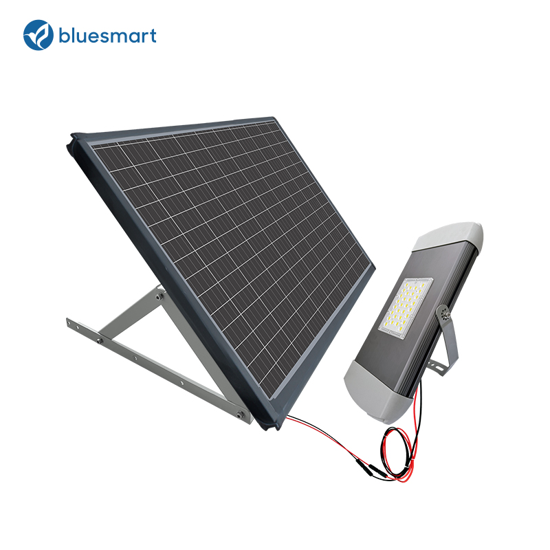 Bluesmart Commercial Sports Field 60W 80W 100W High Quality Outdoor Solar LED Floodlight with Solar Panel