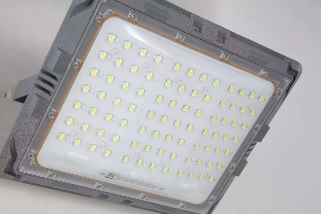 Solar Flood Light Detail 7