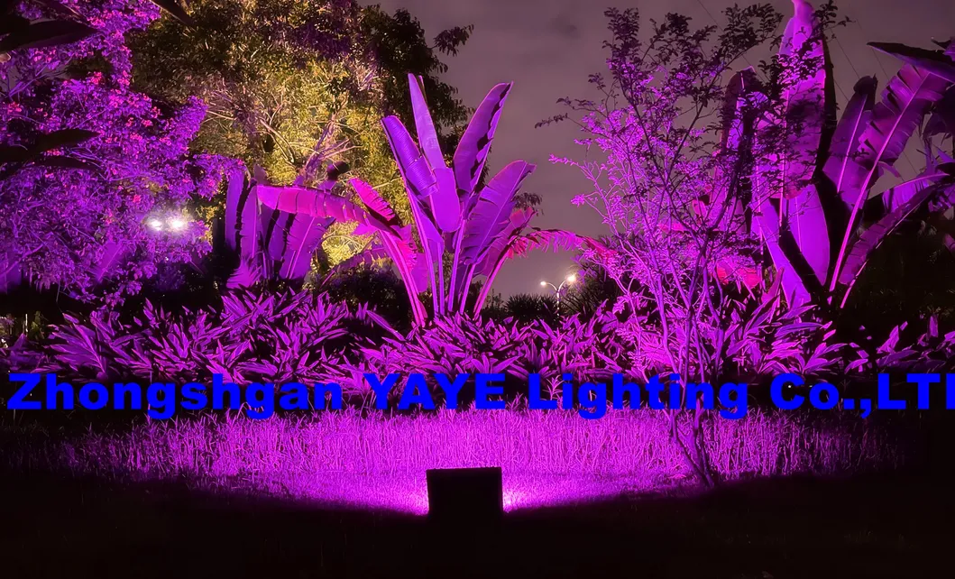 Solar Flood Light 7