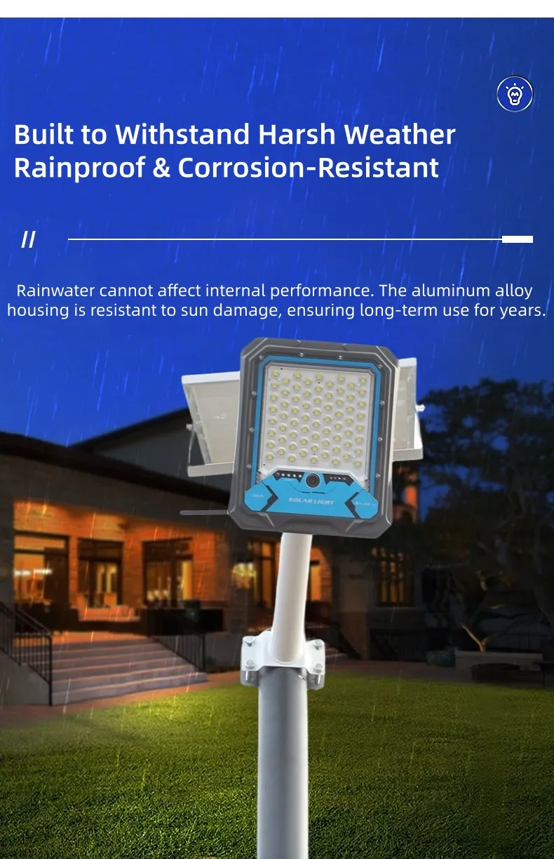 Solar Light Detail 4