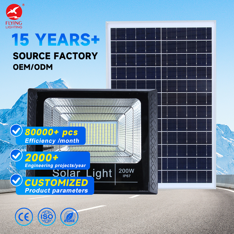 Source Factory Cheap Price Lighting Manufacture Ip65 100w 300w 500w 800w outdoor street LED solar flood light