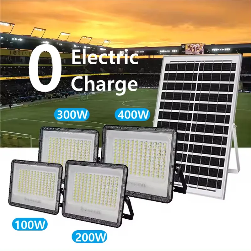 Solar Flood Light Detail