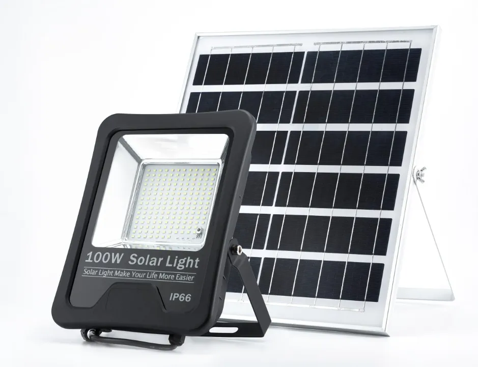 Solar Floodlight 2