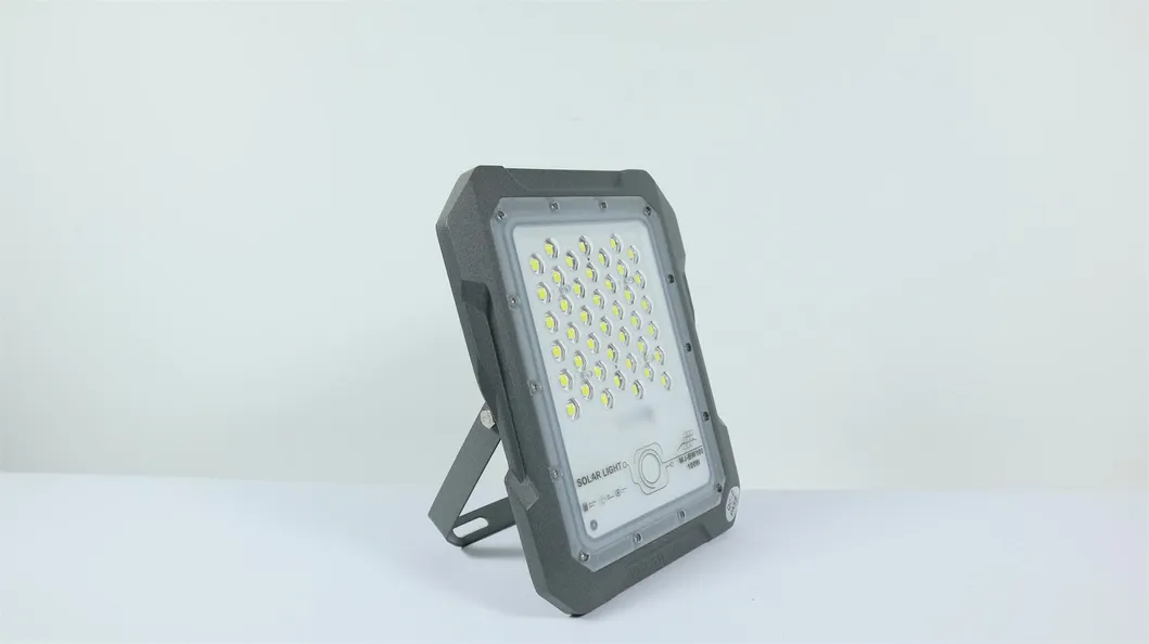 Solar Flood Light 6