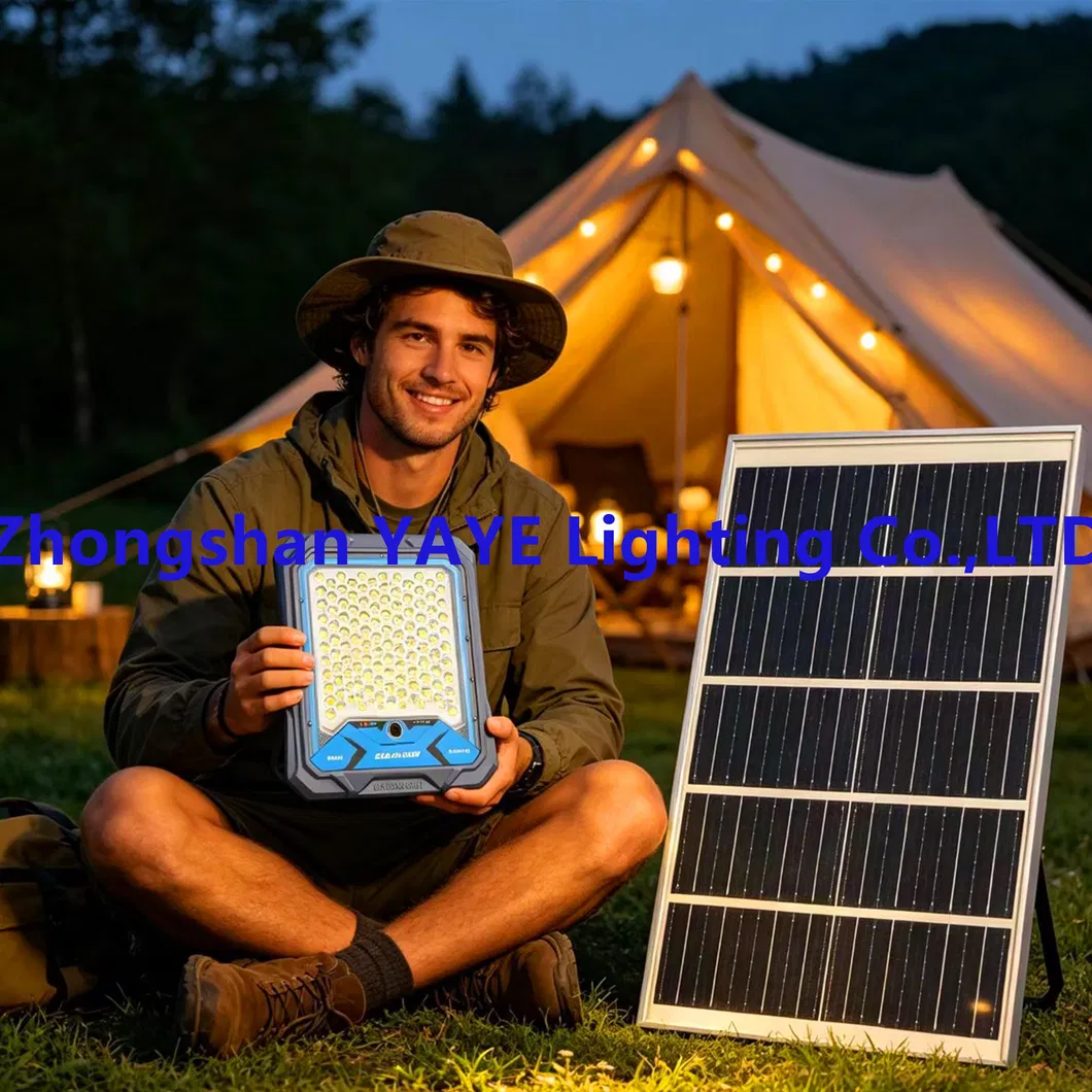 Solar LED Flood Light 13