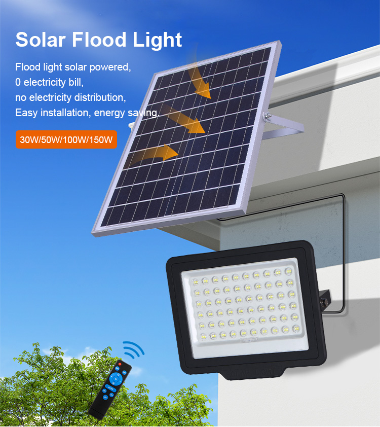 Solar Floodlight Details