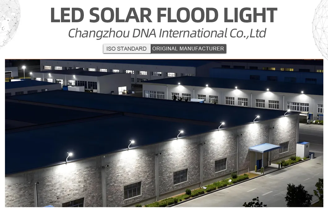 Bright Solar Powered LED Flood Light
