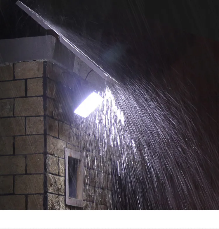 Flood Light Details 5
