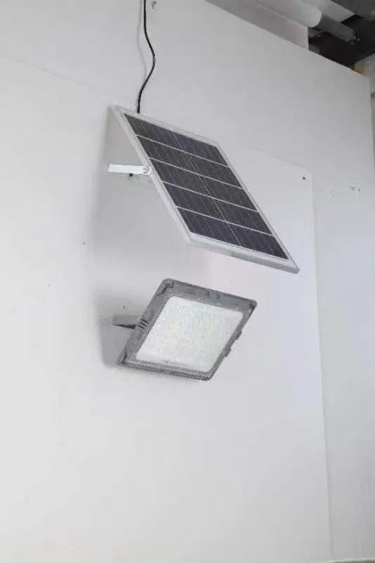 Solar Flood Light Detail 2