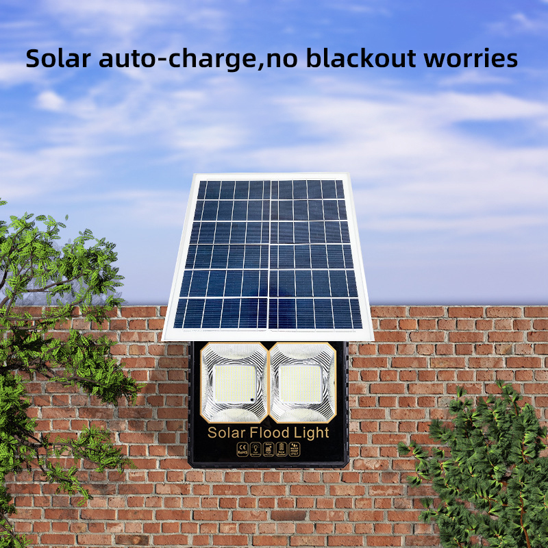 Solar Light Detail 4