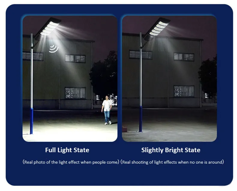 Solar Floodlight 8