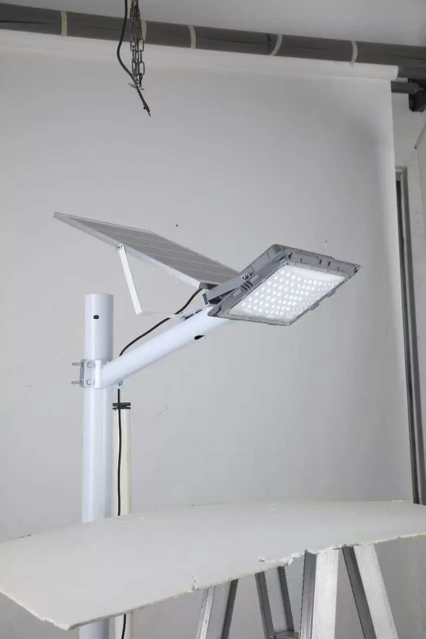 Solar Flood Light Detail 5