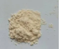 مسحوق مشروب كومبوتشا المجفف بالتجميد العضوي الفوري شاي مخمر