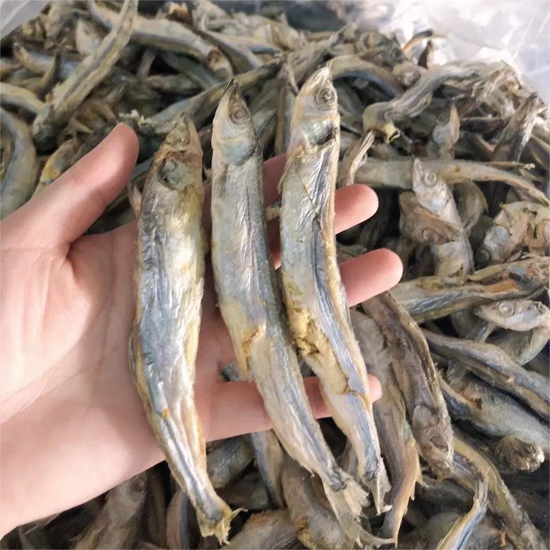 مصنع إزتشونغ للحيوانات الأليفة جملة وجبة خفيفة للكلاب وعلاج للقطط مجفف بالتجميد من سمك الربيع طعام حيوانات أليفة