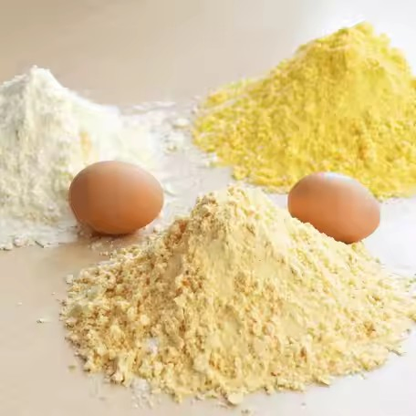 مسحوق ليسيثين صفار البيض عالي المغذيات للإضافات الغذائية، إضافات الخبز