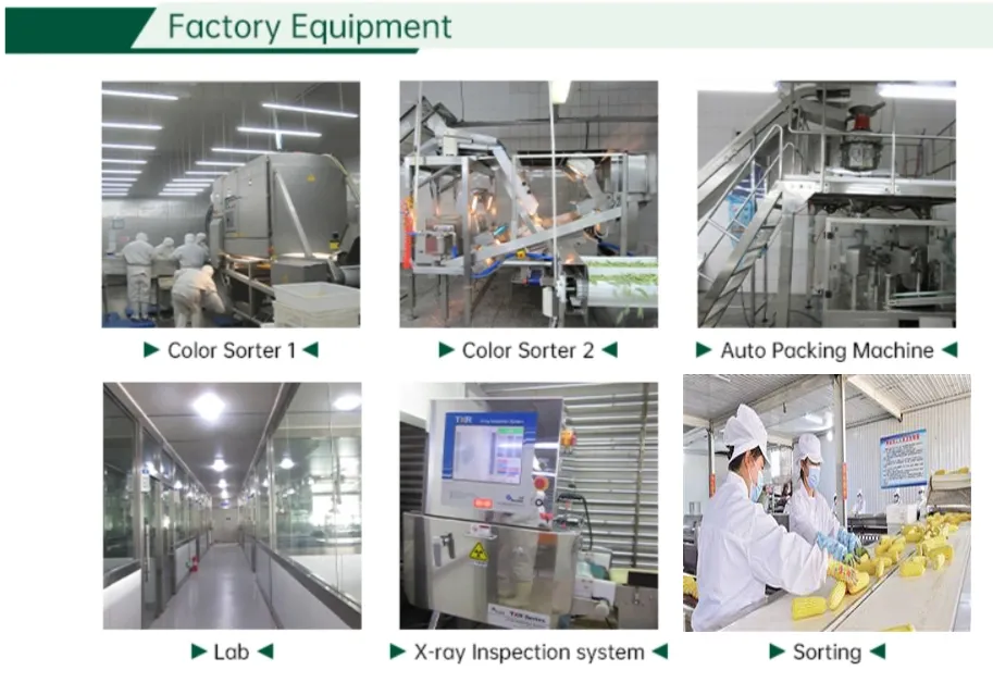 Production Line