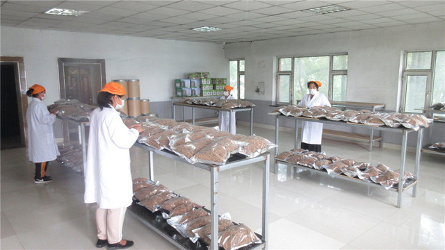 فواكه مجففة بالتجميد من JQH Food - فراولة وتوت وفواكه استوائية