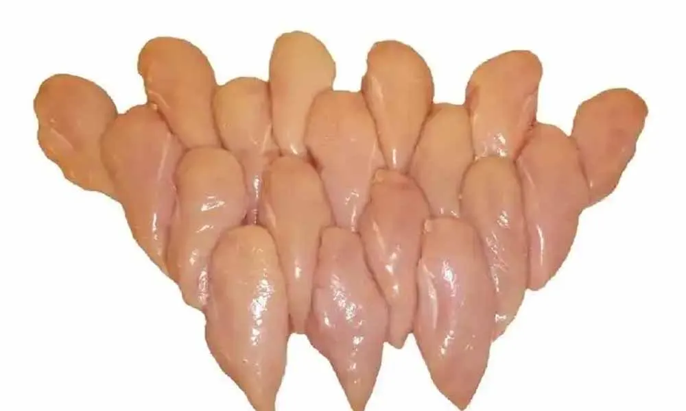 chicken breast