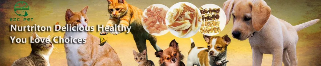 Pet Food Banner