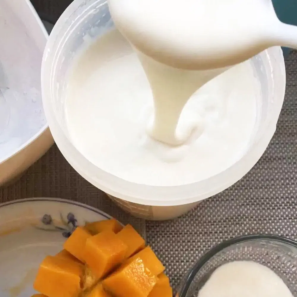نيوزيلندا زبادي مجفف بالتجميد لعملية تخمير الحليب